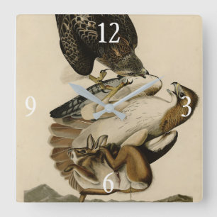 Red-tailed Hawk from Audubon's Birds of America Square Wall Clock