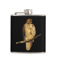 Red Tailed Hawk