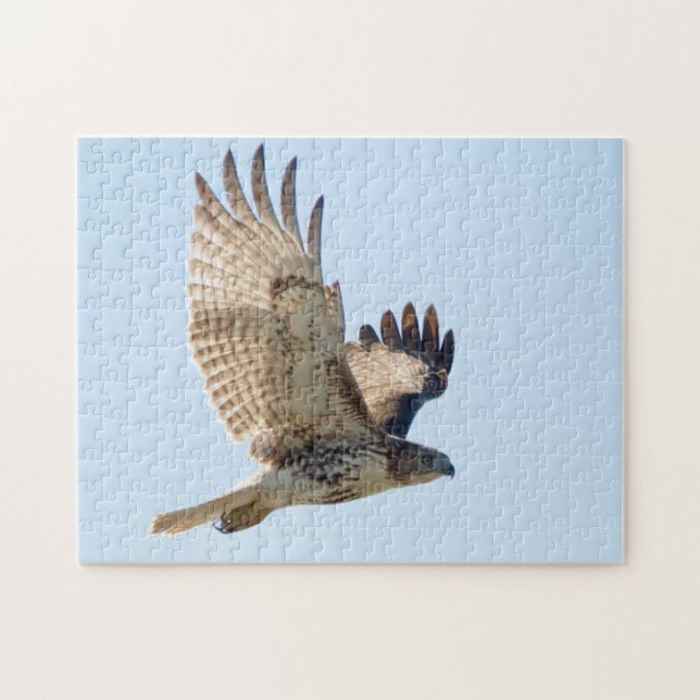 Red Tailed Hawk in fligh Jigsaw Puzzle (Horizontal)