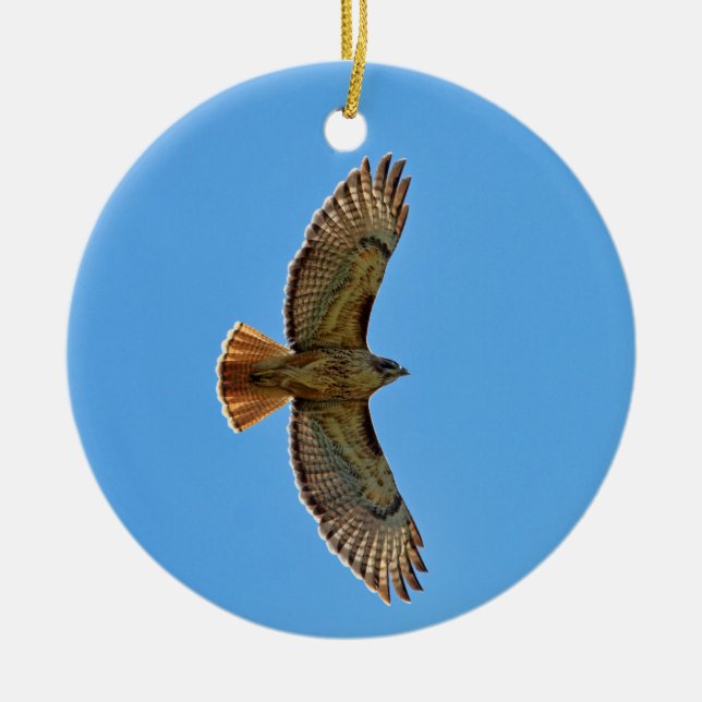 Red-Tailed Hawk in Flight Ceramic Tree Decoration (Front)
