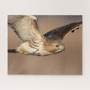 Red-tailed hawk in flight jigsaw puzzle