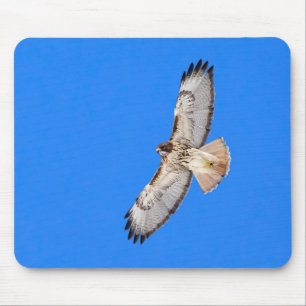 Red Tailed Hawk In Flight Mouse Pad