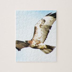 Red-tailed Hawk in Flight Photo Jigsaw Puzzle