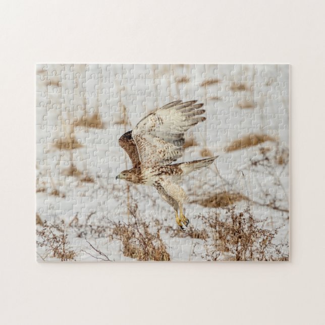 Red-tailed hawk in the Hudson Valley Jigsaw Puzzle (Horizontal)