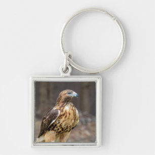 Red-tailed hawk in the Hudson Valley Key Ring