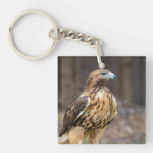 Red-tailed hawk in the Hudson Valley Key Ring