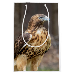Red-tailed hawk in the Hudson Valley Medium Gift Bag