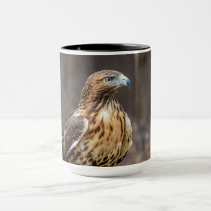 Red-tailed hawk in the Hudson Valley Mug