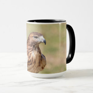 Red-tailed hawk in the Hudson Valley Mug