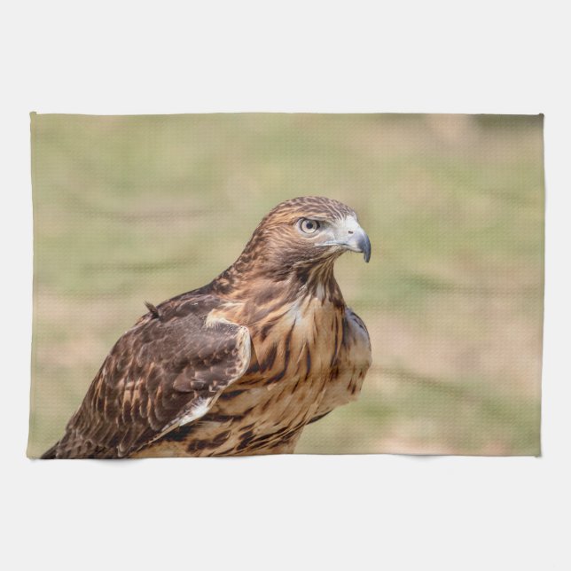 Red-tailed hawk in the Hudson Valley Tea Towel (Horizontal)