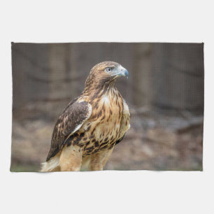 Red-tailed hawk in the Hudson Valley Tea Towel
