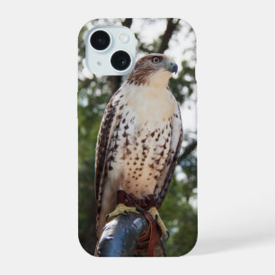 Red-Tailed Hawk iPhone 15 Case
