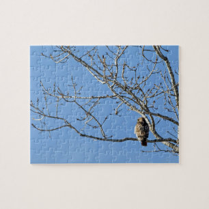 Red Tailed Hawk Jigsaw Puzzle