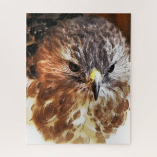RED TAILED HAWK JIGSAW PUZZLE