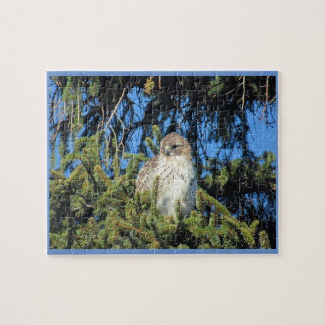 Red Tailed Hawk Jigsaw Puzzle (Horizontal)