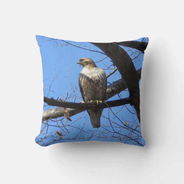 Red Tailed Hawk (juvenile) Throw Pillow (Front)