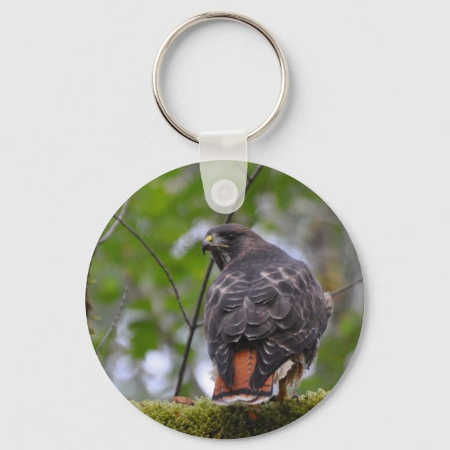 Red-Tailed Hawk Key Ring (Front)