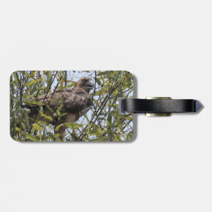 Red tailed hawk luggage tag