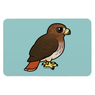 Red-tailed Hawk Magnet