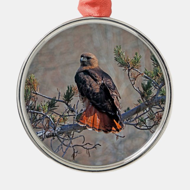 Red-tailed Hawk Metal Ornament (Front)