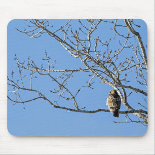 Red Tailed Hawk Mouse Pad