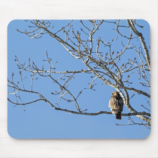 Red Tailed Hawk Mouse Pad (Front)