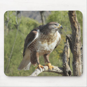 Red Tailed Hawk Mousepad