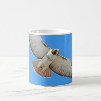 Red-Tailed Hawk Mug