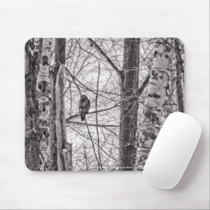 Red-tailed Hawk P8443 Mouse Pad