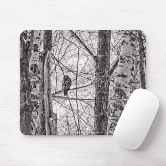 Red-tailed Hawk P8443 Mouse Pad (With Mouse)