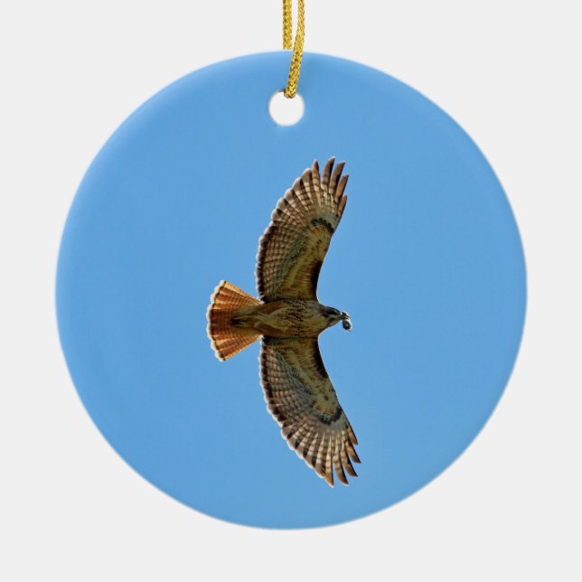 Red-Tailed Hawk Photo Ceramic Ornament (Front)