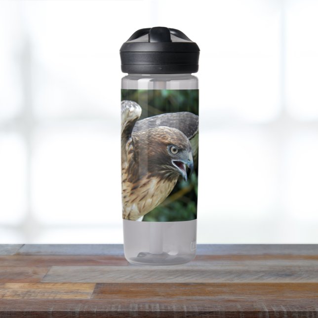 Red-tailed Hawk Photo Water Bottle (In Situ Table)