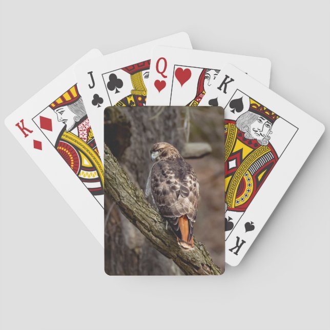 Red-Tailed Hawk Playing Cards (Back)