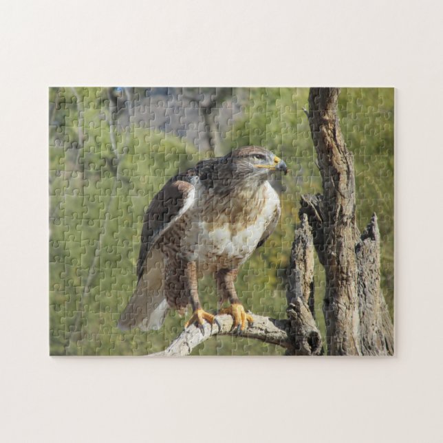 Red Tailed Hawk Puzzle (Horizontal)