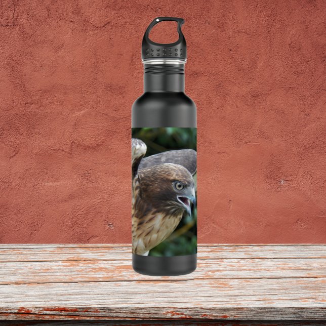 Red-tailed Hawk Raptor Photo 710 Ml Water Bottle (In Situ)
