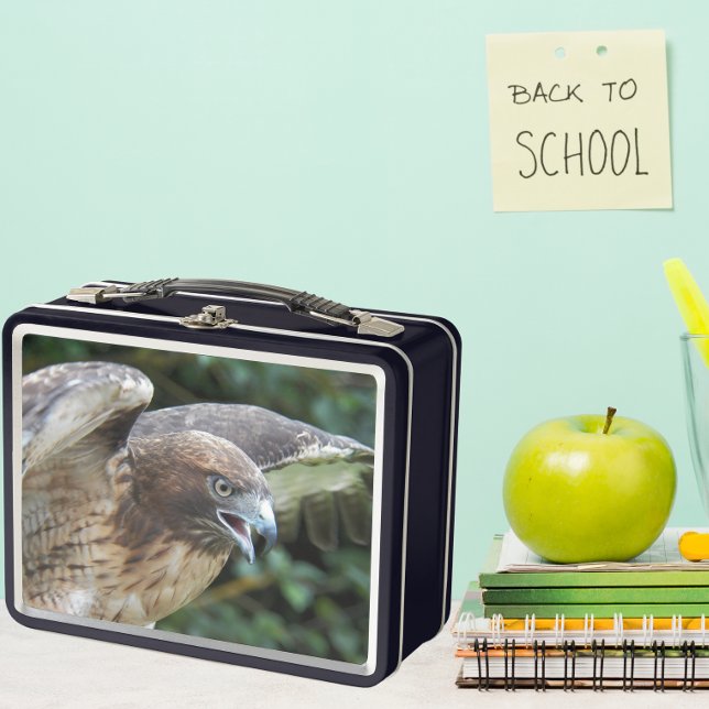 Red-tailed Hawk Raptor Photo Metal Lunch Box (In Situ School)