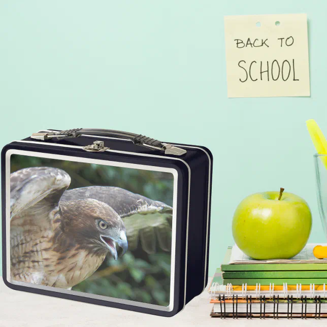 Hawk Style Box Red-tailed Hawk Raptor Photo Metal Lunch Box | Zazzle