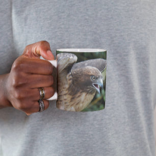 Red-tailed Hawk Raptor Photo Mug