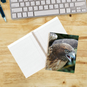 Red-tailed Hawk Raptor Photo Notebook