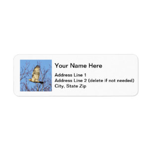 Red-tailed Hawk Return Address Label