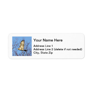 Red-tailed Hawk Return Address Label