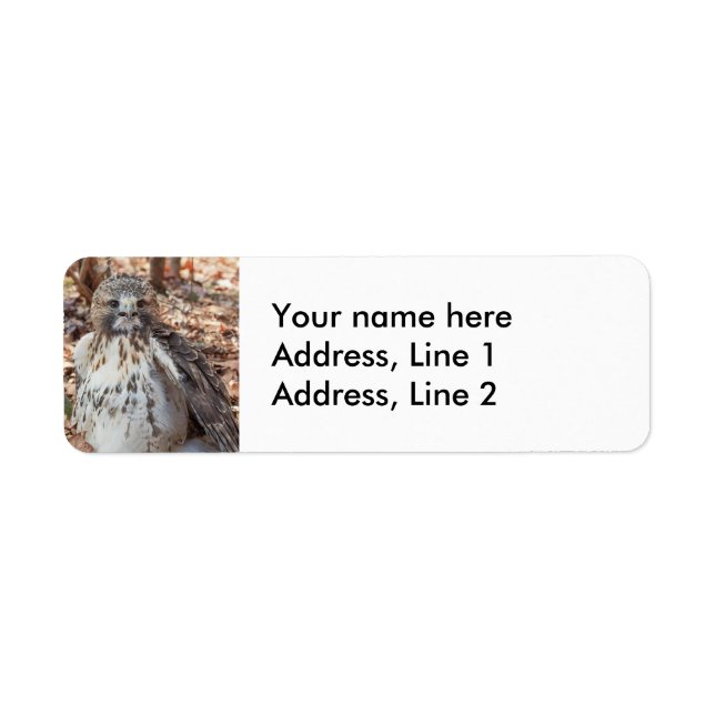 Red Tailed Hawk Return Address Label (Front)