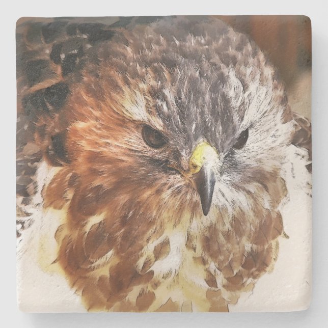 RED TAILED HAWK STONE COASTER (Front)