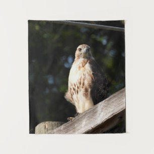 Red Tailed Hawk Tapestry - small
