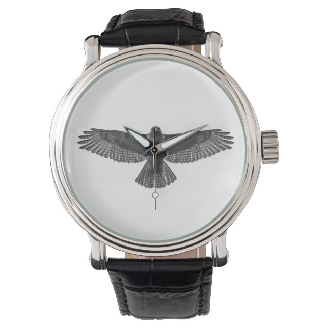 Red-tailed Hawk Watch (Front)