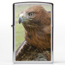 RED TAILED HAWK ZIPPO LIGHTER