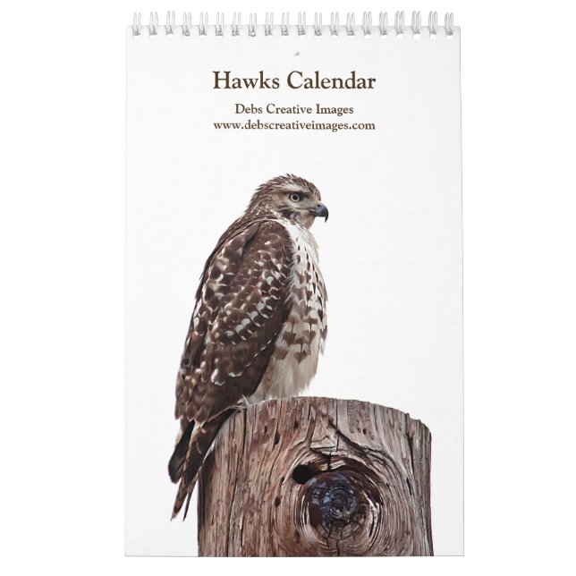 Red Tailed Hawks 2026 Calendar (Cover)