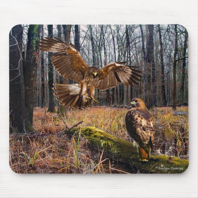 "Red-Tailed Hawks" Mouse Pad (Front)