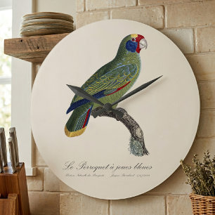 Red-Tailed Parrot Amazon, Amazona Brasiliensis Large Clock