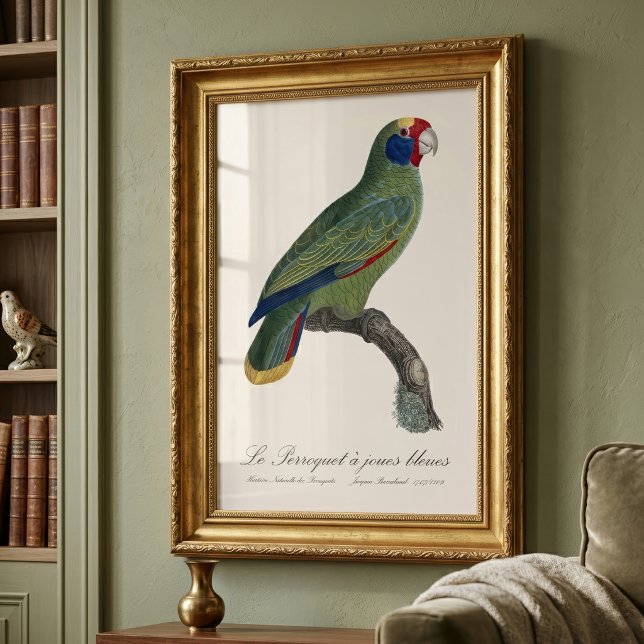 Red-Tailed Parrot Amazon, Amazona Brasiliensis Photo Print (Red-Tailed Parrot Amazon, Amazona Brasiliensis. Photo Print)